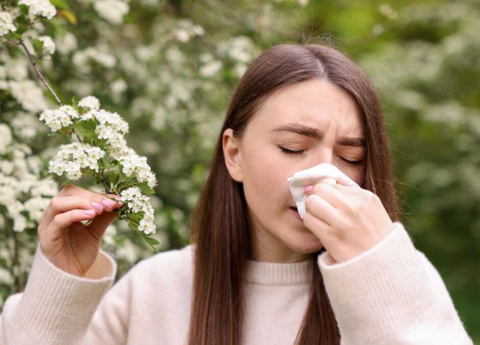 Navigating Spring Allergies with Acupuncture in La Vale